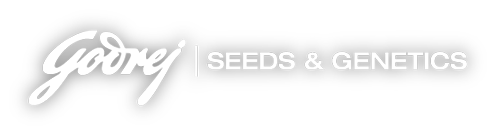 Godrej Seeds & Genetics Logo